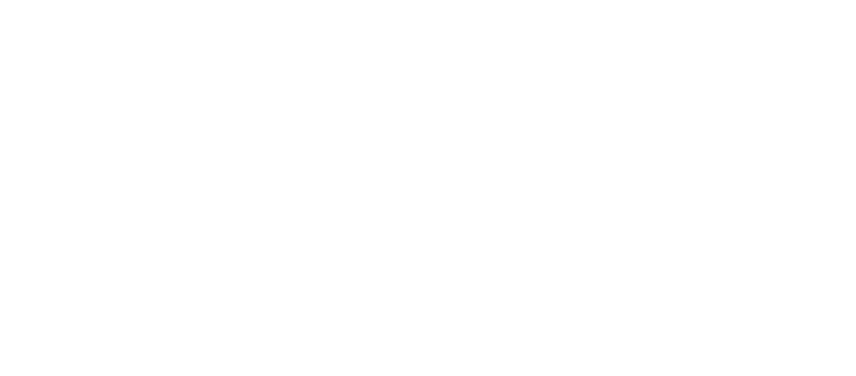 Logo LaVita Wellnes